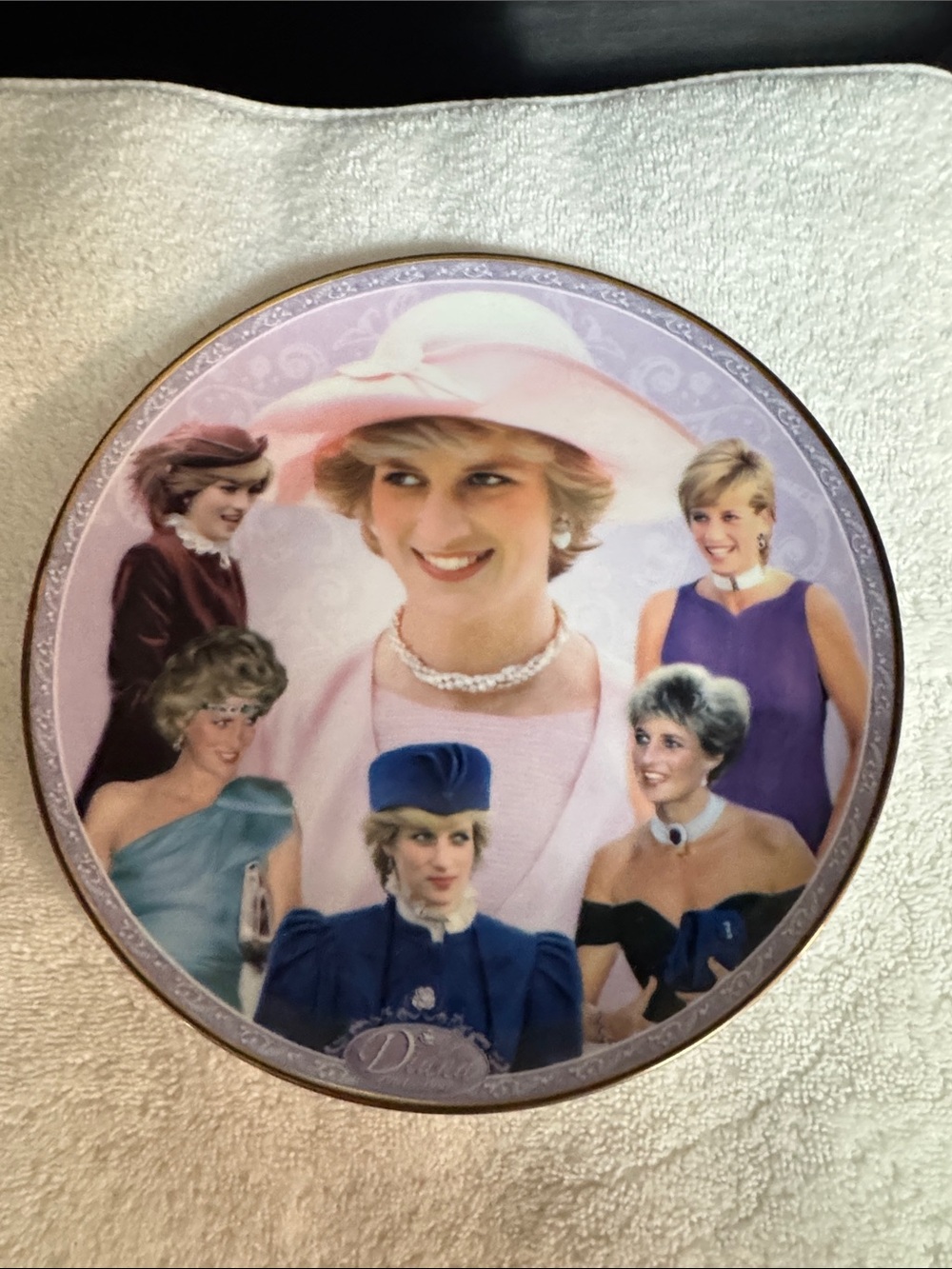 Royal Worcester Fashion Icon Danbury Mint #A3351 Princess Diana Collector Plate